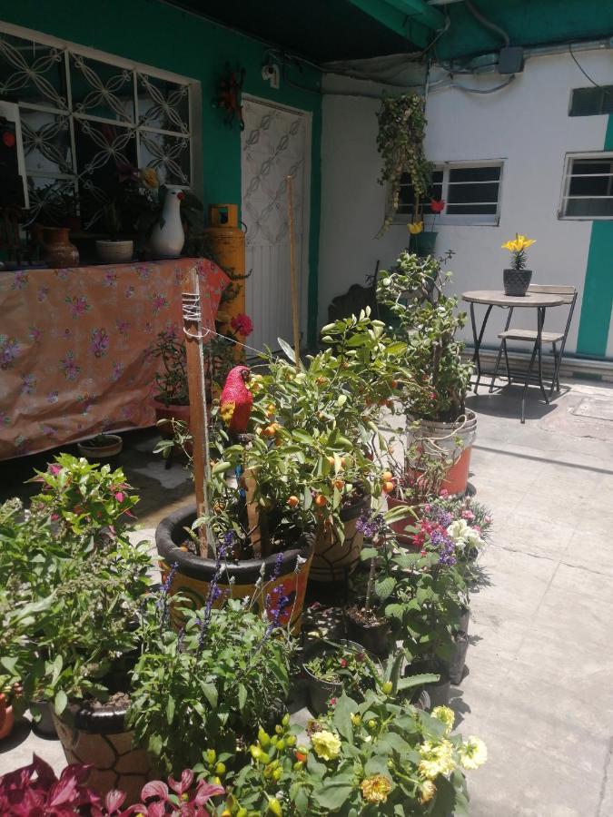 Departamento Cercano Al Aeropuerto T2, A 2 Calles México DF Exterior foto